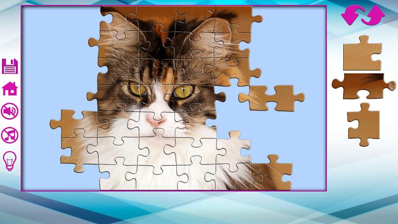 Big puzzles with cats Screenshot7