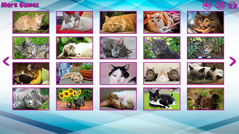 Big puzzles with cats Screenshot18