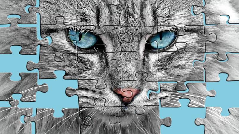 Big puzzles with cats Screenshot1