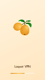 Loquat VPN Screenshot1