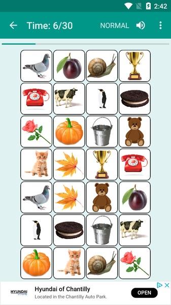 Brain game. Picture Match Screenshot12