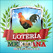 Lotería Mexicana En Línea APK