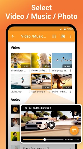 Truyền tới TV & Chromecast Screenshot3