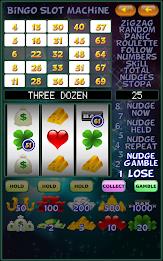 Bingo Slot Machine. Screenshot14