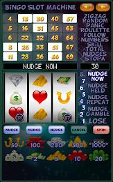 Bingo Slot Machine. Screenshot11