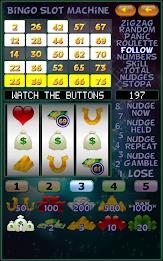 Bingo Slot Machine. Screenshot13