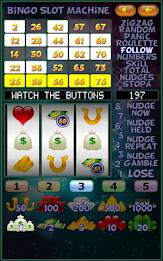 Bingo Slot Machine. Screenshot3