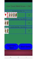 Pinochle Card Game Screenshot5