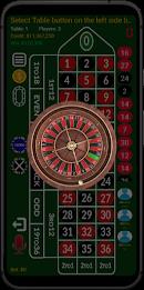 Online Roulette Casino Game Screenshot19