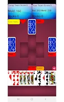 Pinochle Card Game Screenshot6