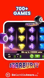 Mirror Bingo - Shine & Win Screenshot8