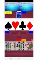 Pinochle Card Game Screenshot3