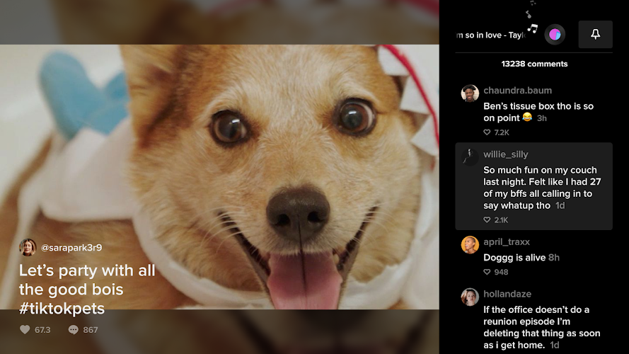 TikTok for Android TV Screenshot8