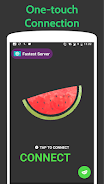 Melon VPN - Secure Proxy VPN Mod Screenshot1