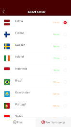 VPN Latvia - Use Latvia IP Screenshot4