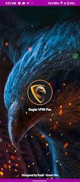 Eagle VPN Pro Screenshot1