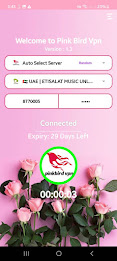 Pink Bird VPN Screenshot2