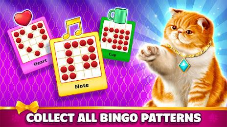 Pet Bingo: Bingo Game 2024 Screenshot15