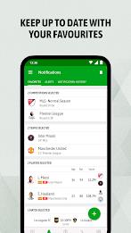 BeSoccer - Soccer Live Score Screenshot8