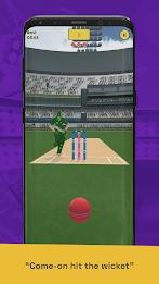 Run Out Champ: Hit Wicket Game Screenshot2