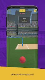 Run Out Champ: Hit Wicket Game Screenshot4