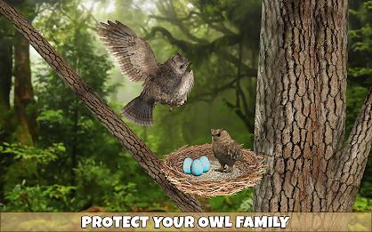 Owl Bird Simulator Birds Game Screenshot14