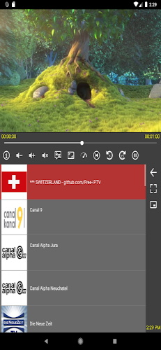 IPTV Proxy - Player & Cast Screenshot1