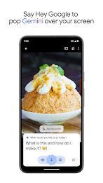 Google Gemini Screenshot8