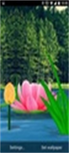 Flower Live Wallpaper 3D Screenshot2