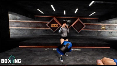 Boxing Coach Screenshot2