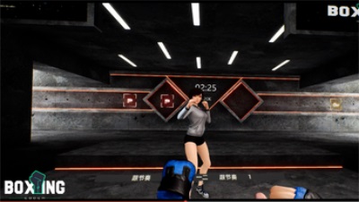 Boxing Coach Screenshot3