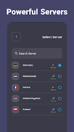 Silver VPN Screenshot3