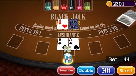 Casino Blackjack Screenshot9