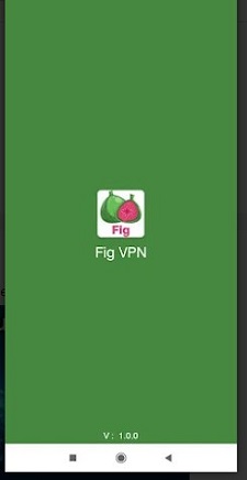 Fig Vpn - Unlimited and secure Screenshot2