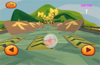 Extreme Zorbing Screenshot3