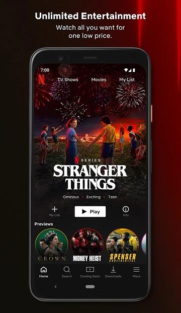 Netflix Premium Screenshot1