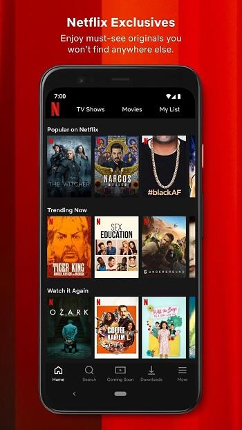 Netflix Premium Screenshot2