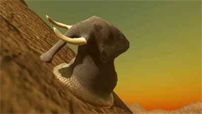 Elephantidae Gastropod Mollusc Screenshot3