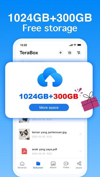 Terabox Screenshot1