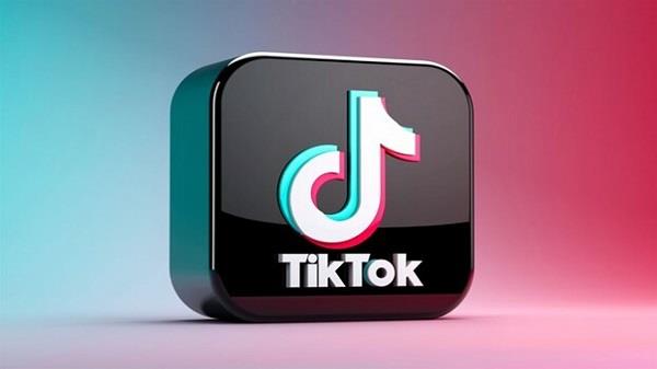 TikTok Screenshot1