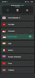 VPN Indonesia - Proxy VPN App Screenshot2