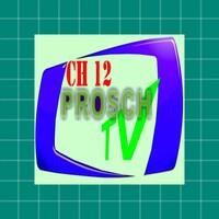 RADIO TELE PROSCH APK