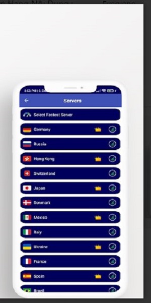 Oggi Fast VPN Pro Screenshot3