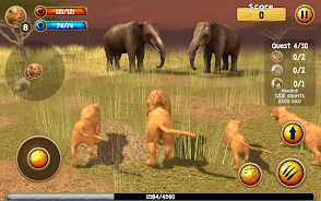 Wild Lion Simulator 3D Screenshot14