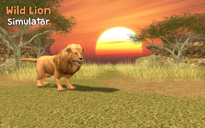 Wild Lion Simulator 3D Screenshot13