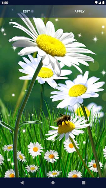 Daisy Parallax Wallpapers Screenshot2