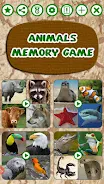 Animals Memory Game Screenshot5