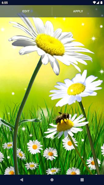 Daisy Parallax Wallpapers Screenshot4