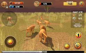 Wild Lion Simulator 3D Screenshot5