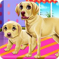 Labrador Quadruplets Newborn Caring APK